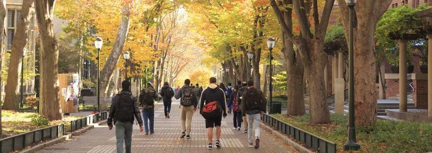 Clearinghouse Final Fall Enrollment Trends