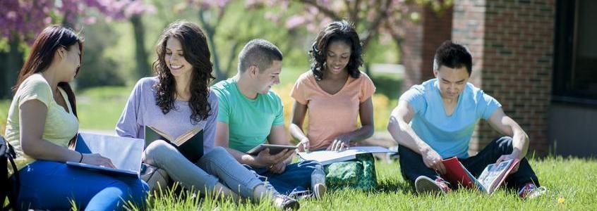 Clearinghouse Final Spring Enrollment Trends